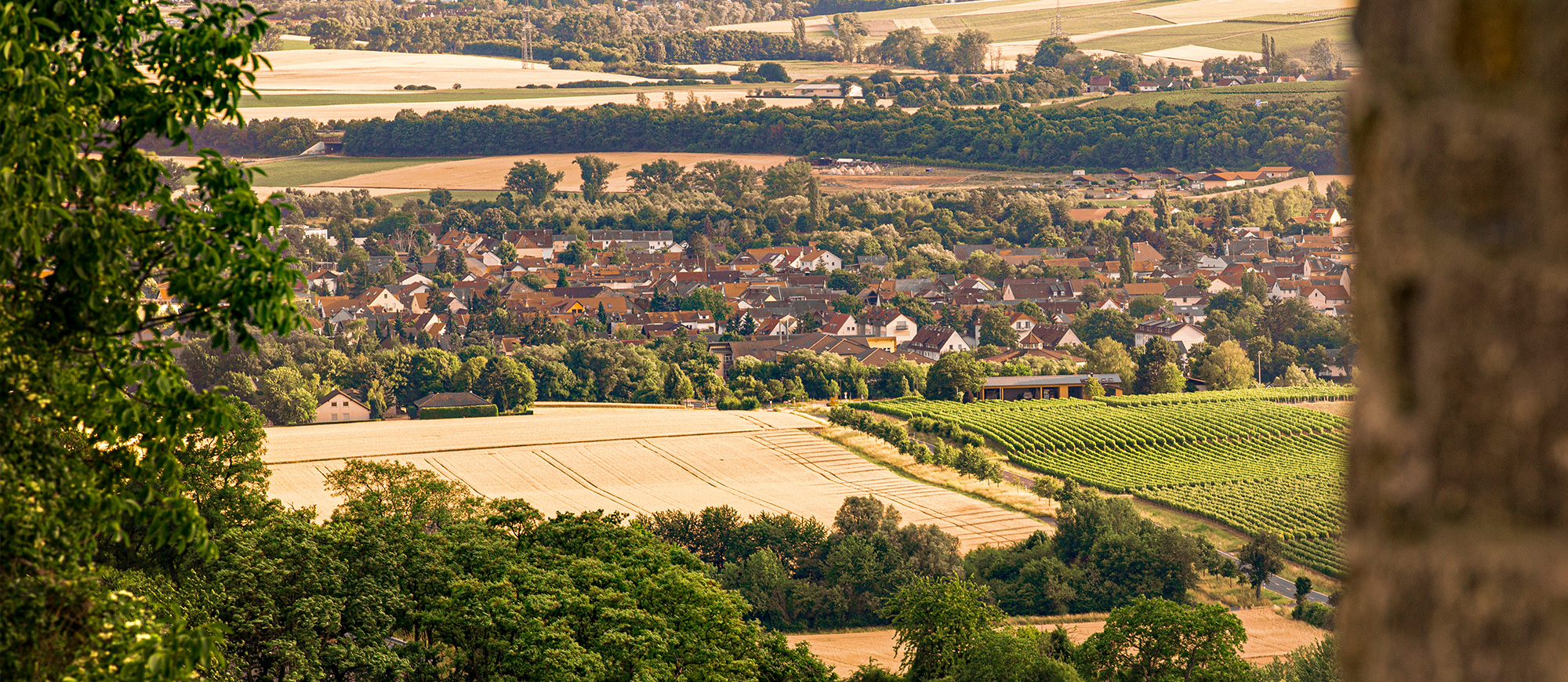 Weingut Schottenhof