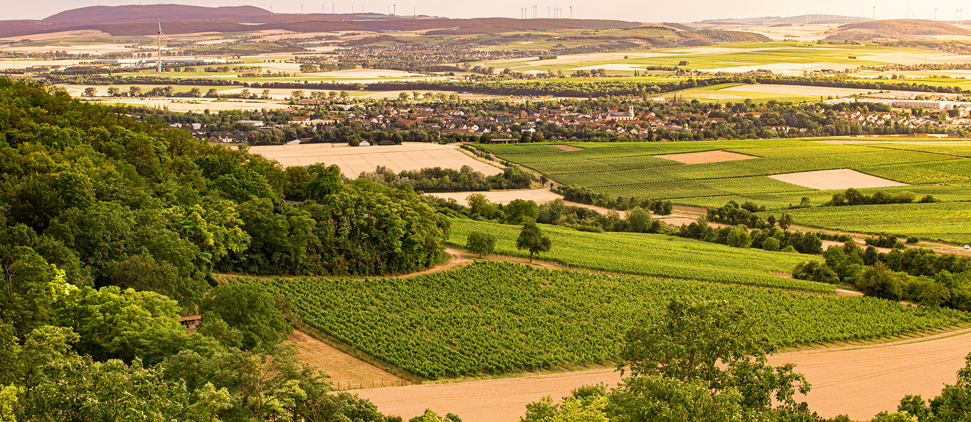 Weingut Schottenhof slide 2